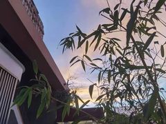 -山壹竹庭院餐厅
