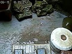 -灵龟之家百象馆(百象馆联合旗舰店)