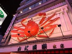 -道顿堀水上观光船(太左衛門橋船着場)