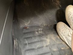 -神州租车(白云机场T1服务点)
