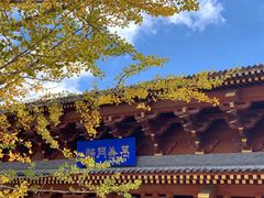 -Peet's Coffee皮爷咖啡(大学路店)