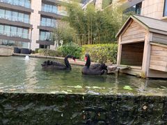 -君悦大酒店行政酒廊