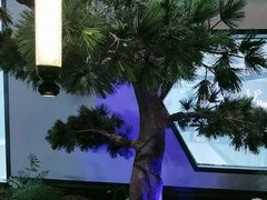 -绿茶餐厅(成都大悦城店)