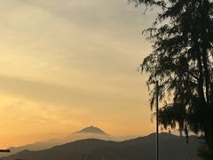 -长洲岛