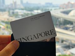 -新加坡丽思卡尔顿美年酒店