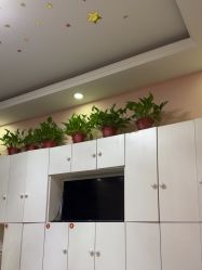 -香薇妮丝·定制减肥·身材管理