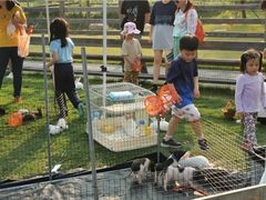 -前小桔亲子创意农场·草莓采摘·露营烧烤