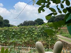 -天河儿童公园