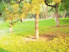 -元大都城垣遗址公园