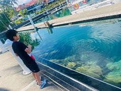 -麦哲伦丝绸度假村