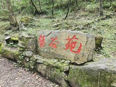 -牛背梁国家森林公园