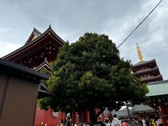 -浅草寺
