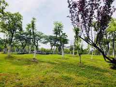 -安徽大学(磬苑校区)