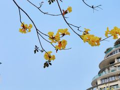 -洲头咀公园