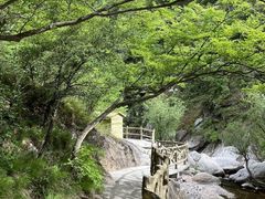 -洛阳白云山景区