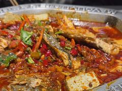 -马有鱼·馕坑烤全鱼(美美2店)