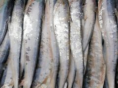 -芦潮港集贸市场