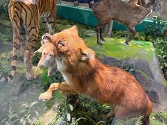 -国家自然博物馆