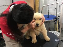 -PETKIT小佩宠物(古北店)