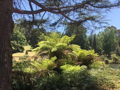 -墨尔本皇家植物园