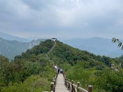 -大岭沟猕猴桃谷风景区