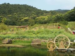 -广州市石门国家森林公园