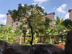 -亚马逊丛林水乐园