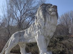 -石家庄市动物园