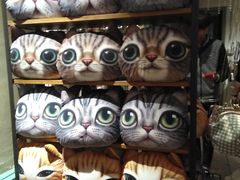 -猫咪博物馆(顶澳仔猫街店)