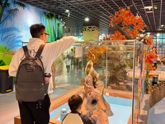 -顺德南宏海立方海洋公园