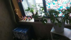 -本真坊美容美体沙龙