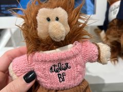 -line friends(明洞旗舰店)