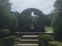 -汉拿树木园