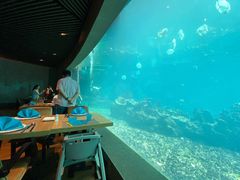 -海棠湾洲际-涛·海底餐厅·美人鱼·自助餐·海底隧道