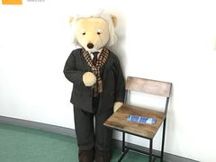 -济州岛泰迪熊博物馆