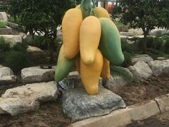 -东芭乐园