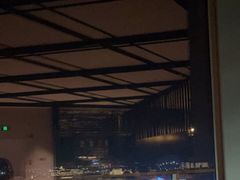 -瑰丽酒店·海吧·天际下午茶·现场DJ·天台酒吧