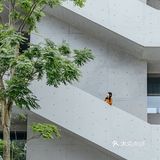 深圳新美术馆🤓有点酷🆒！