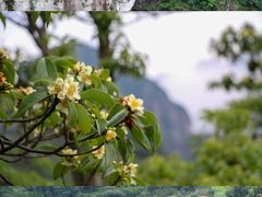-雁荡山风景名胜区