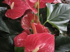 -利群海琴购物广场(商丘路店)