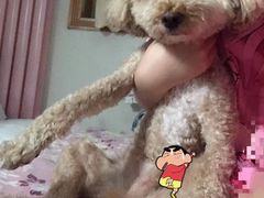 -美联众合爱康动物医院•复杂内科•肿瘤科•牙科•腔镜诊疗中心