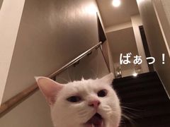 -喜满客影城(汉神广场店)