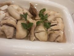 -满福隆酒楼(万绿园店)