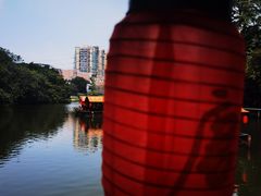 -侨美·唐荔园·40年地道粤菜