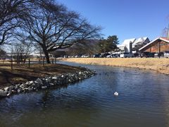 -轻井泽王子购物广场