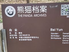 -都江堰中华大熊猫苑