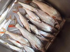 -桃花姐假日酒店·桃花潭土菜馆