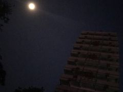 -原山国家森林公园