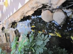-绿色时代大酒店