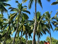 -三亚南山文化旅游区